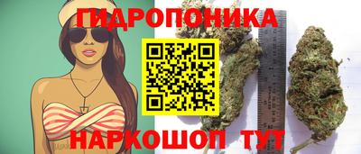 стаф Моздок