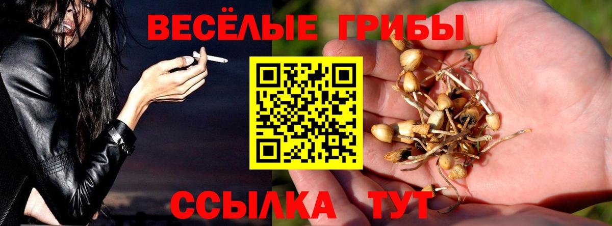 Галлюциногенные грибы GOLDEN TEACHER  Вход с VPN  Чапаевск 